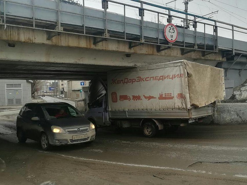 Фото соцсетей