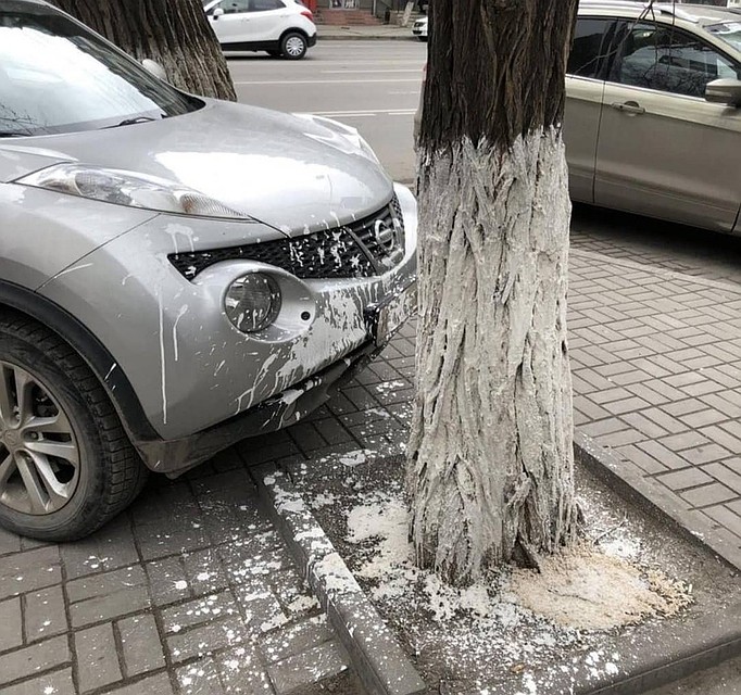 Фото: @rostov_roads, Instagram.