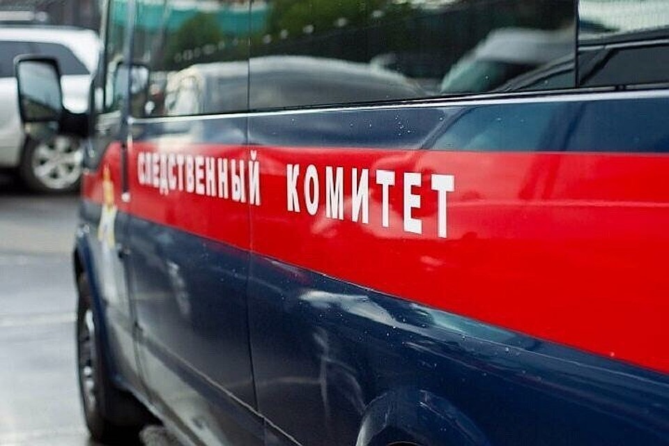 Как объяснили в пресс-службе СУ СК РФ по Новосибирской области, поводы для обращения могут быть абсолютно разные.