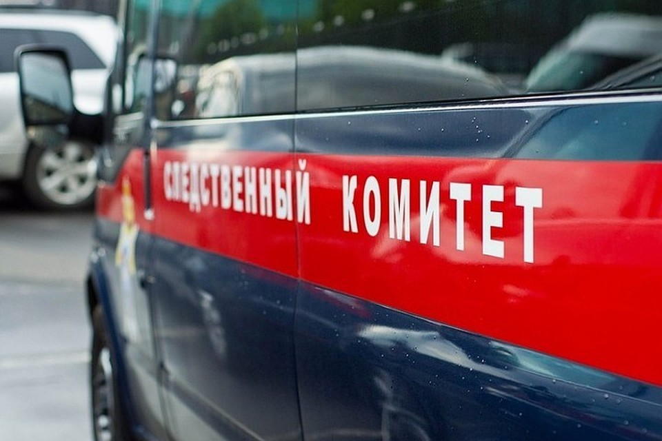 Вечером родители привезли детей к бабушке с дедушкой в гости, а утром нашли в доме шесть тел