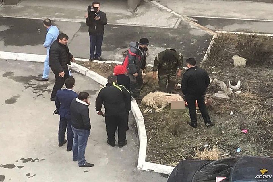 Эти кадры были сделаны на улицы 2-ой Ольховской.