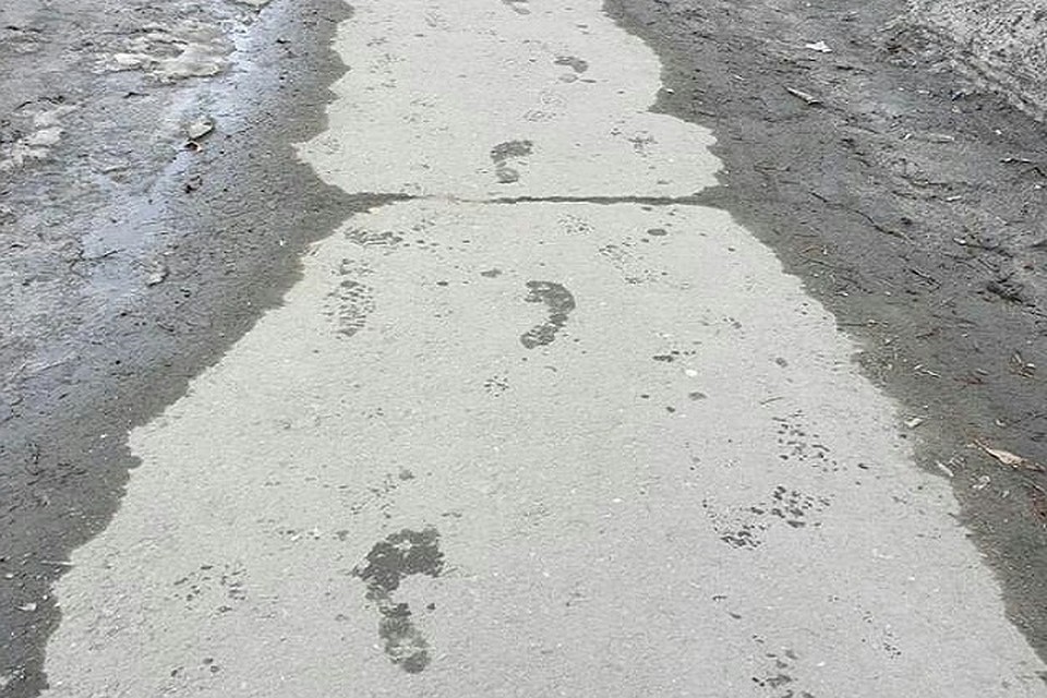 В Салехарде заметили на асфальте следы «Снежного человека» Фото: группа "В Салехарде" vk.com