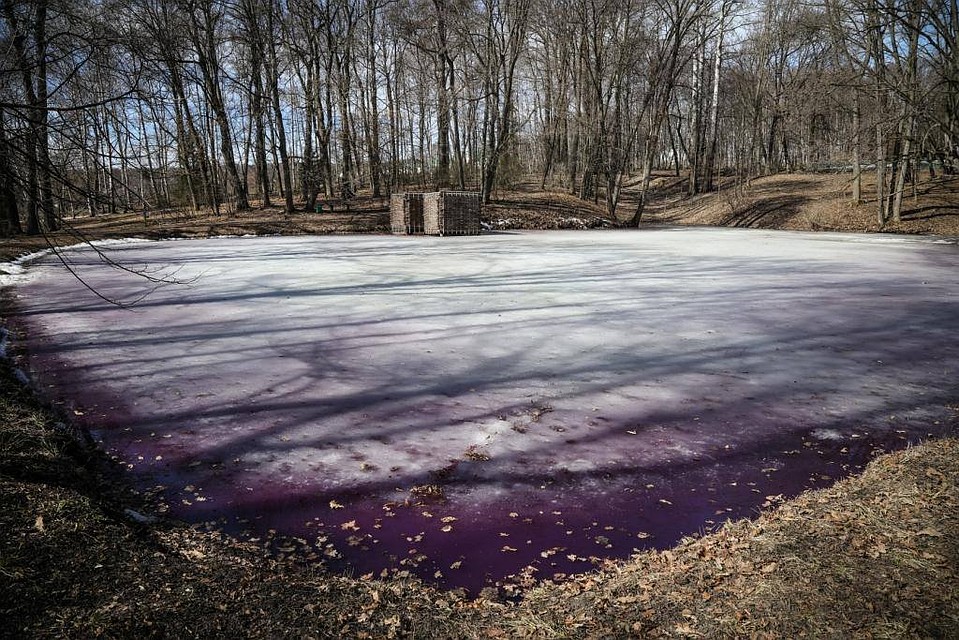 Фото: Музей-усадьба "Ясная Поляна"
