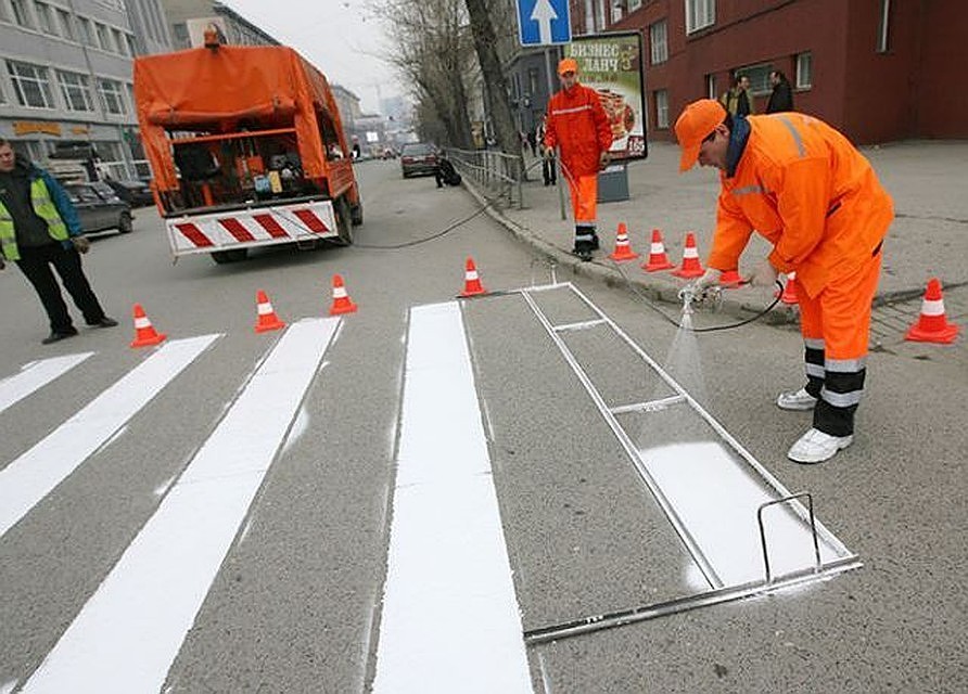 Уже к середине лета "зебры"в городе будут ярче и заметнее.