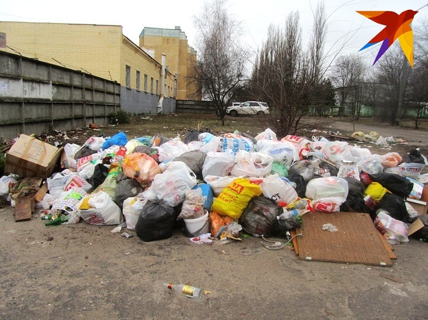 Поле деятельности для активистов широкое