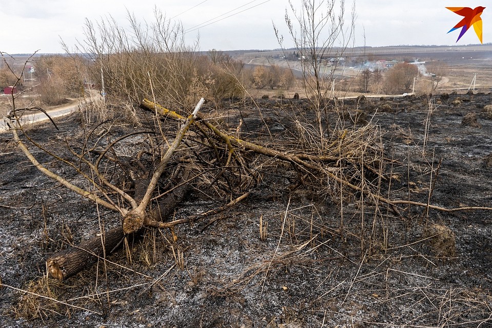 Из-за горения сухой травы в орловской глубинке полыхал нежилой дом