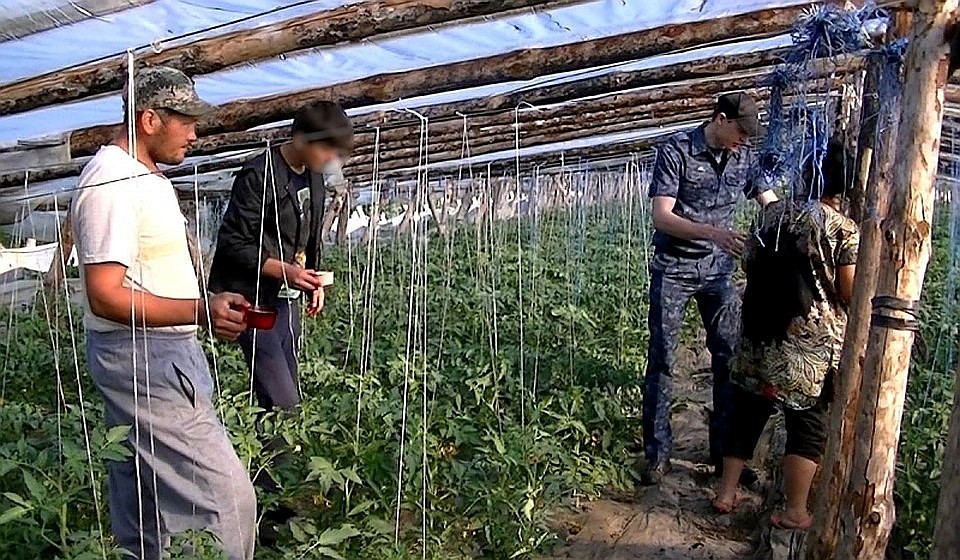 Оштрафуют не только нелегалов, но и работодателя, который взял на работу иностранцев без патентов.