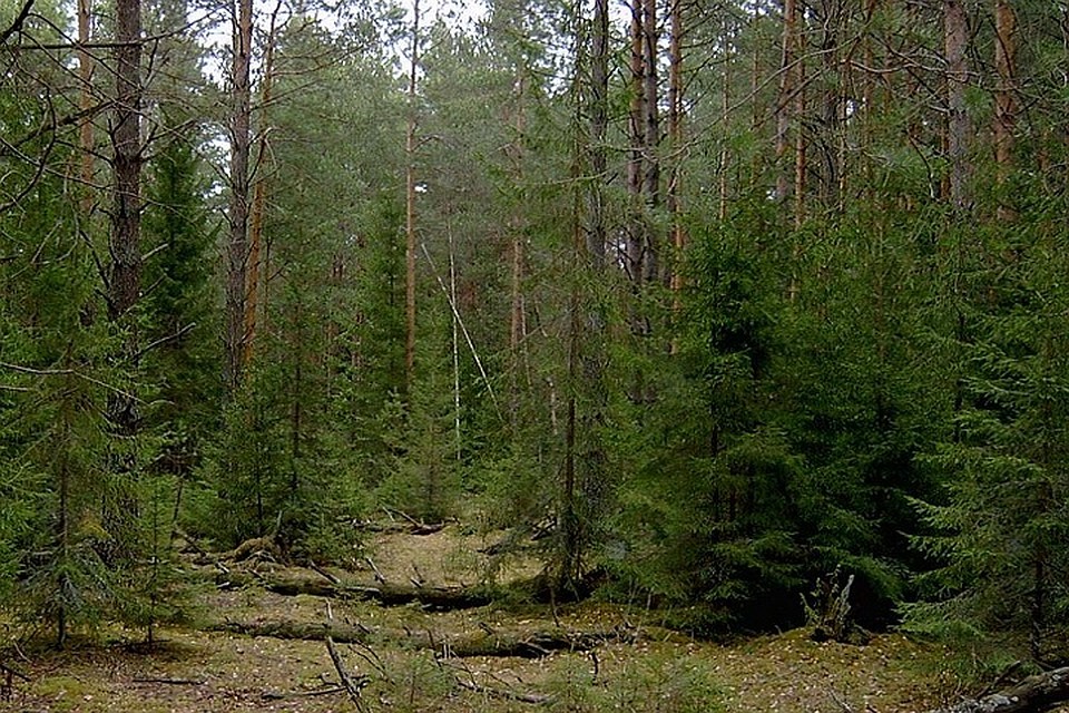 Свердловский мошенник обманул тюменца на 5 млн рублей