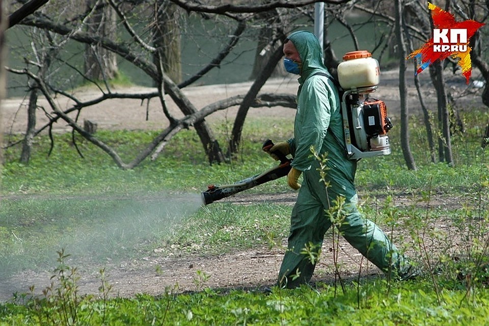 В общей сложности специалисты обработают 607 гектаров