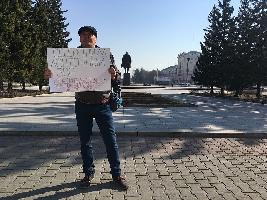 Владимир призывает к спасению леса