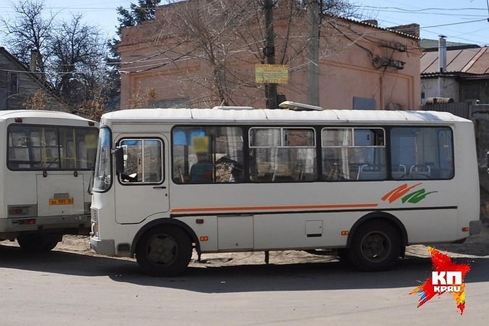 фото из архива "КП".