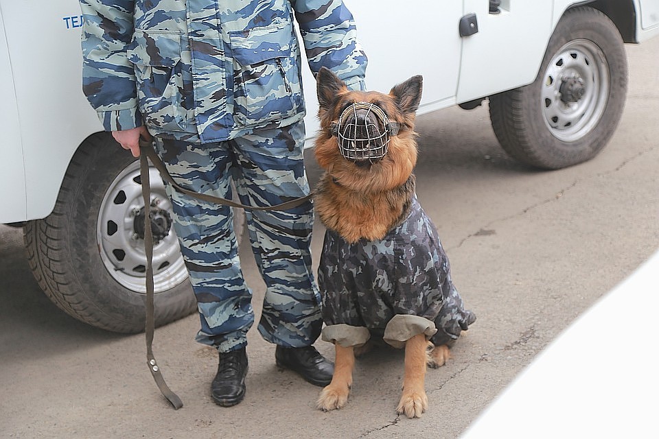Поиски еще семи беглецов продолжаются