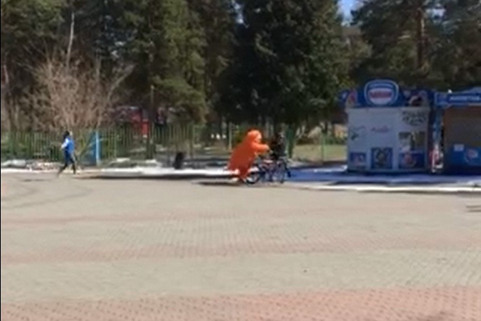 Аниматор в костюме кота задержал вора на велосипеде. Фото: кадр из видео Артура Гизамтова.