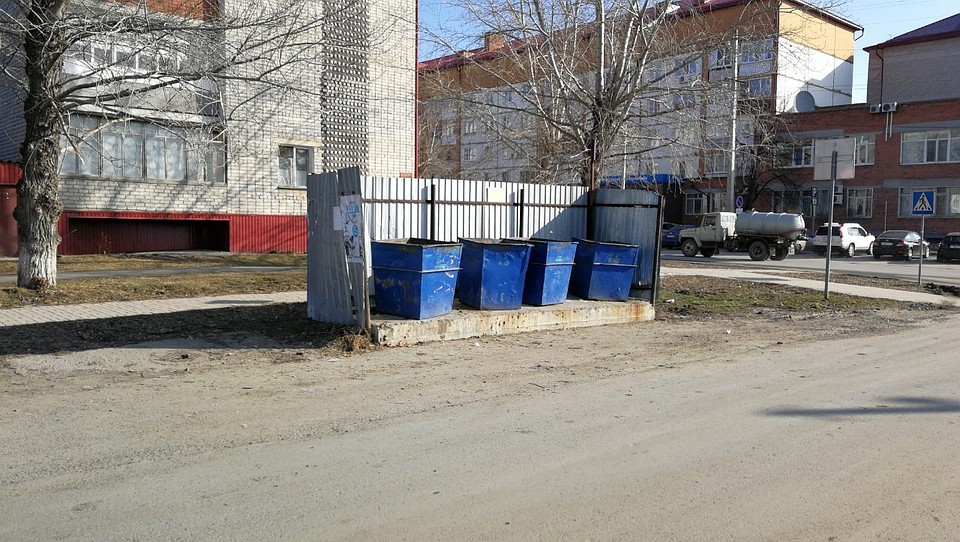 На субботниках тюменцев просят не складывать в мусорные баки листву и ветки