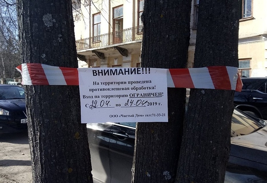 В городе повсеместно появляются вот такие предупреждения об обработке.