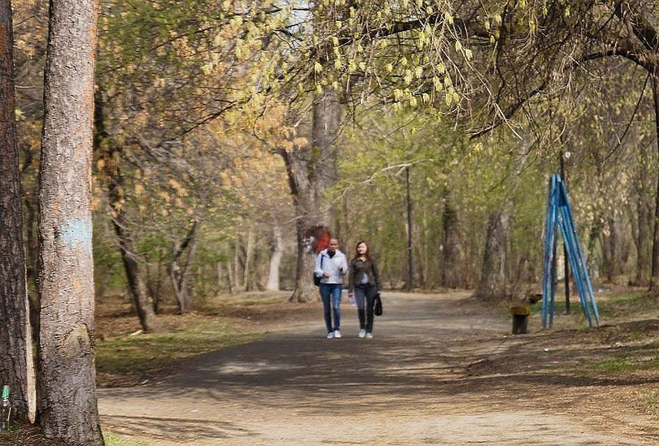 Парк должны были обновить к зиме 2020 года