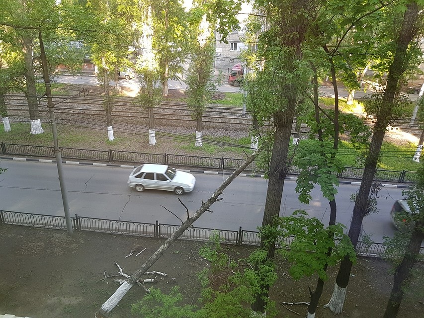Фото соцсетей