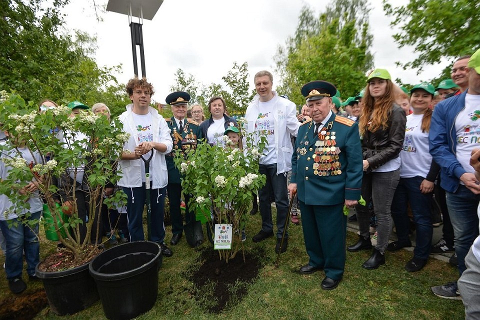 В Московской области прошла ежегодная эколого-патриотическая акция «Лес Победы». Фото: пресс-служба правительства МО