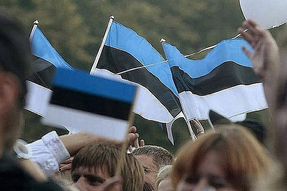 На начало 2018 года в Эстонии проживало 1 324 820 человек. Фото: с сайта inestonia.ru