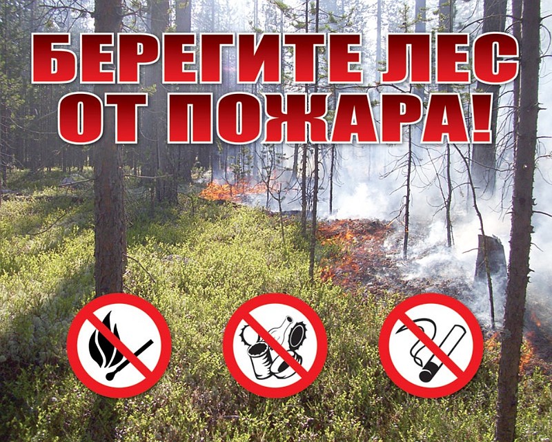 фото: управление лесами Белгородской области.