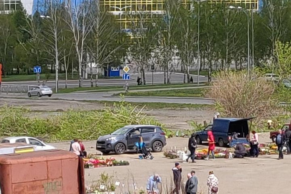 Деревья в Кемерове вырубают без разрешения. ФОТО: Сергей Морозов.