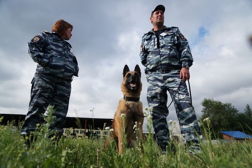 В Ленобласти служебный пес помог полиции найти банду, избившую старушку
