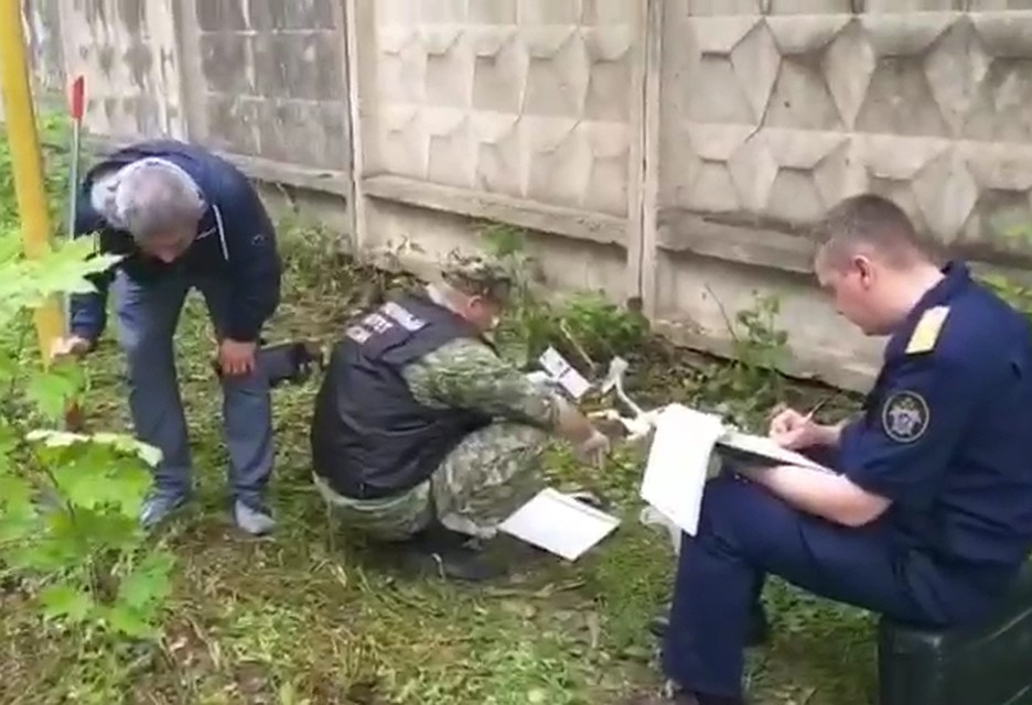 Кадр из видео