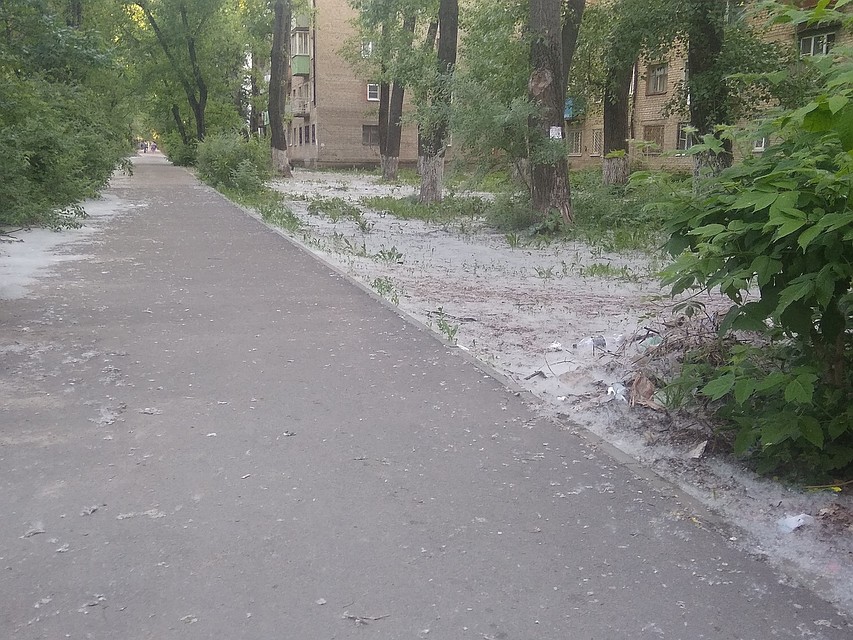 Двор на улице Торпедо