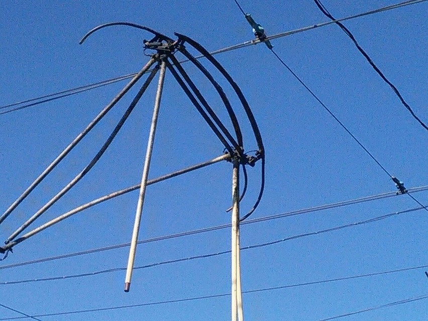 Фото соцсетей