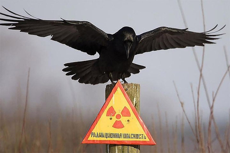 Норвегия и Украина будут сотрудничать в сфере ядерной безопасности. Фото: с сайта spaceleaks.ru