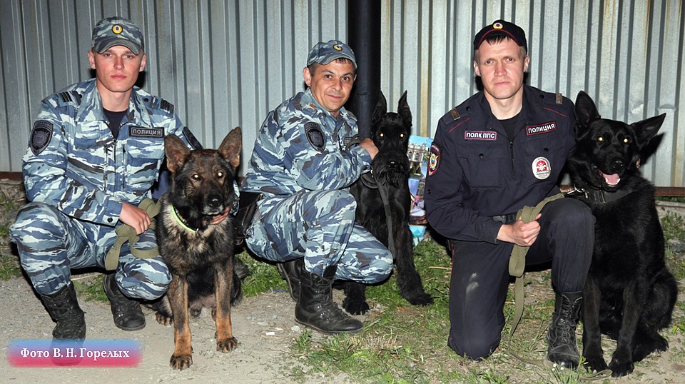 Фото: Валерий Горелых