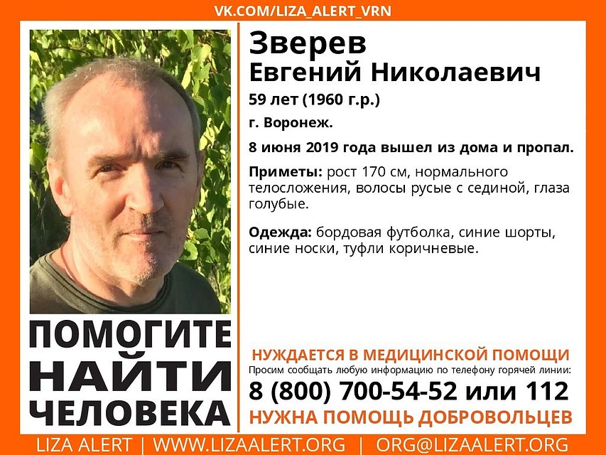 Фото: из группы поискового отряда «Лиза Алерт Воронеж» в соцсети.