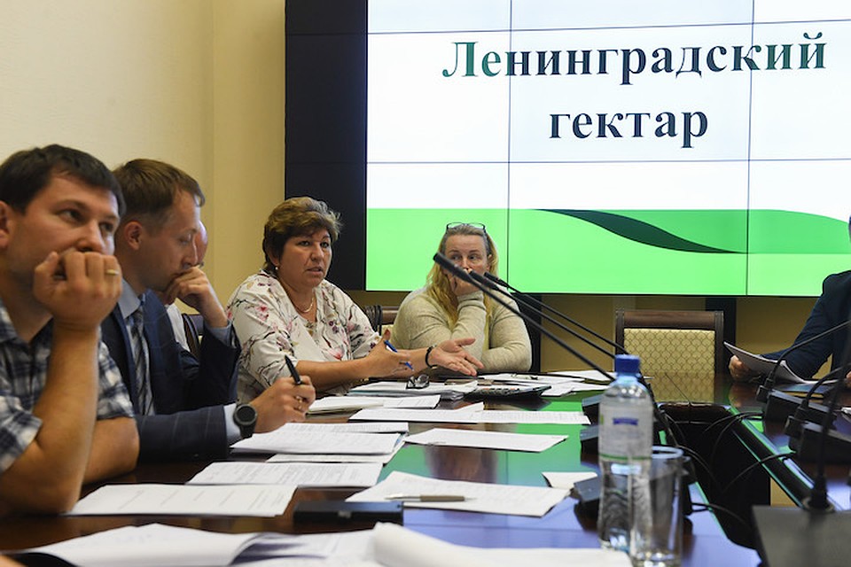 Претенденты на участие в программе "Ленинградский гектар" представили конкурсной комиссии свои бизнес-планы. Фото предоставлено администрацией Ленинградской области.