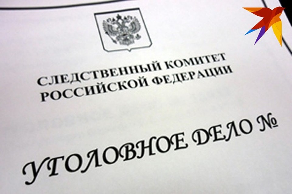Девушке грозит суд