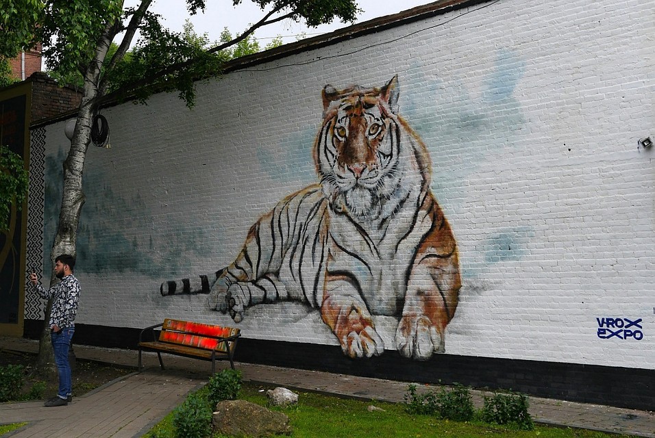 Фото: amur-tiger.ru