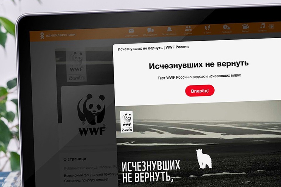 Герои проекта — восемь исчезающих видов животных, в сохранении которых участвует WWF России