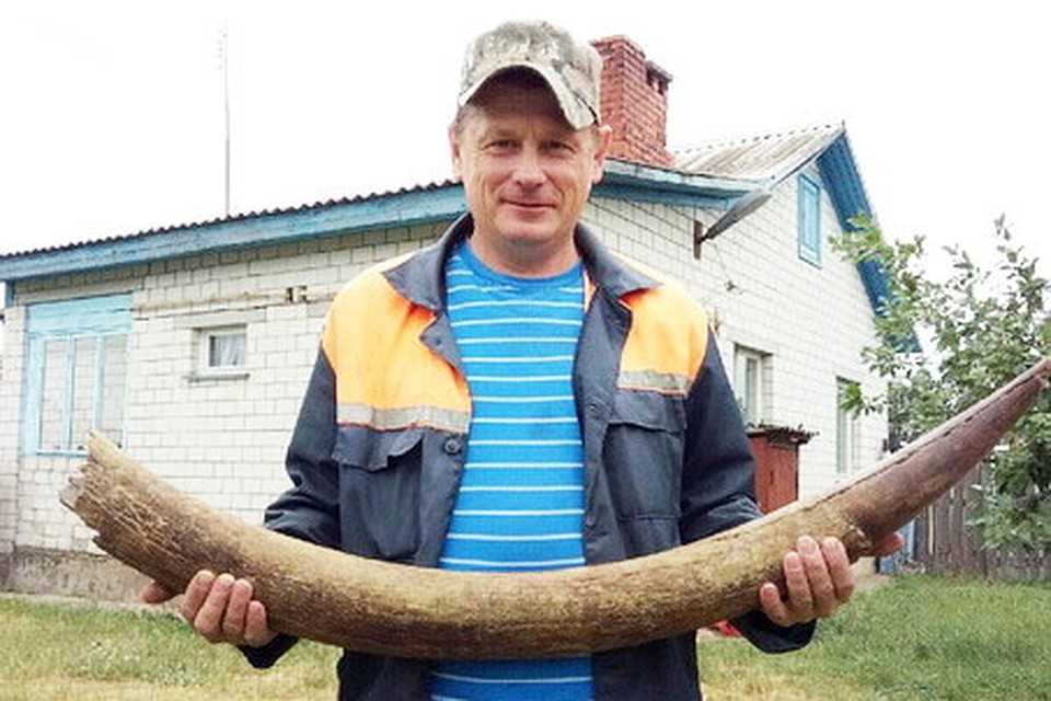 Бивень и сейчас лежит у Алексея дома. Фото: slova.by