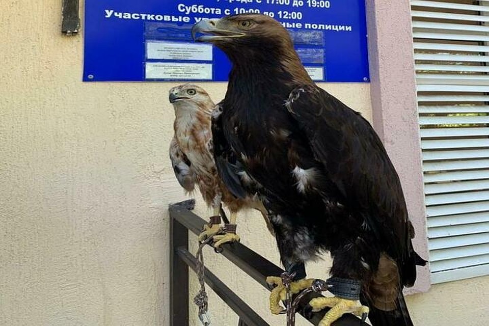 Фото: администрация Анапы