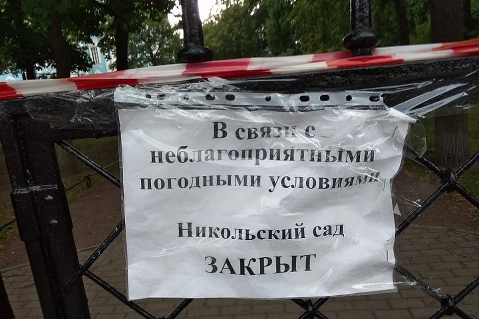 Пять садов Петербурга закрыли из-за плохой погоды / Фото: Смольный