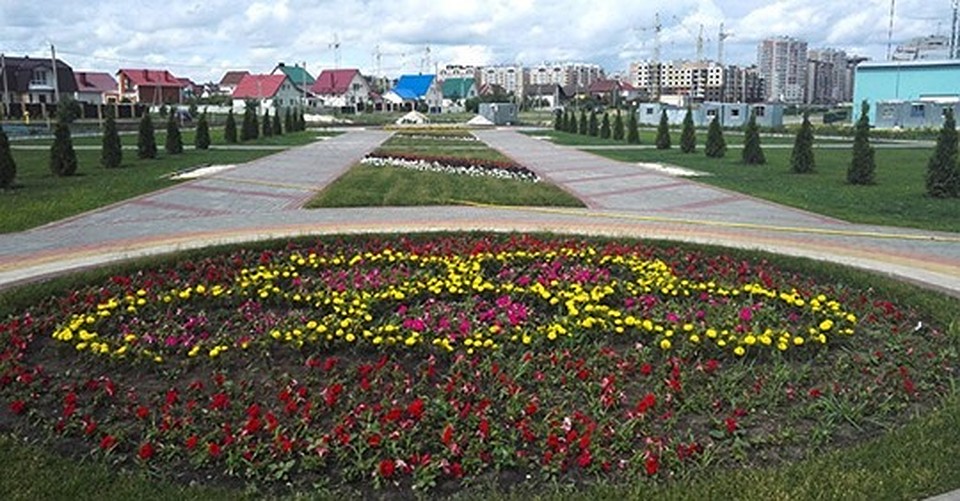 На севере Тамбова высадят взрослые деревья