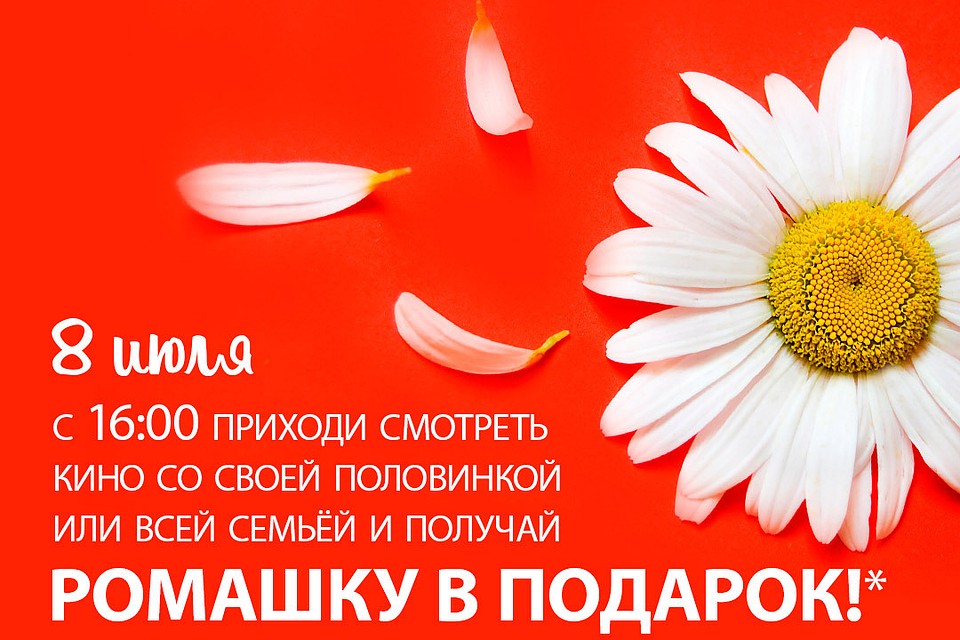 Ромашка - символ семейности.