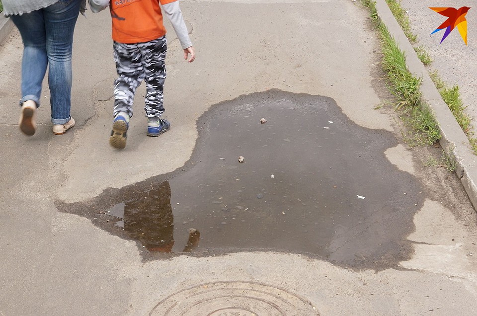 В Гомеле сфотографировали необычную лужу