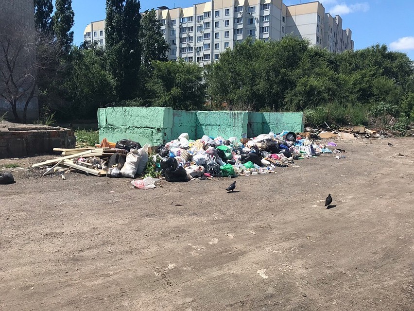 фото: Валерий Муковнин.