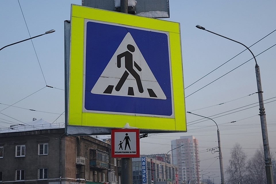 Причиной спора стала установка ЦОДД на одной из московских улиц дорожных знаков "Уступи дорогу" и "Пешеходный переход" уменьшенного размера