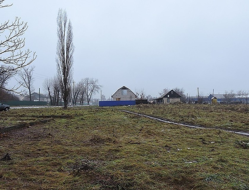 фото читателей