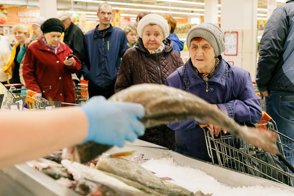 В Мурманской области начали продавать рыбу по себестоимости. Фото: правительство Мурманской области