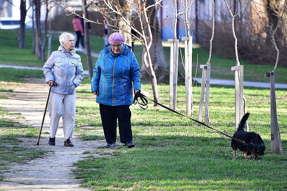 В России заморозку накопительной части пенсии продлят до 2020