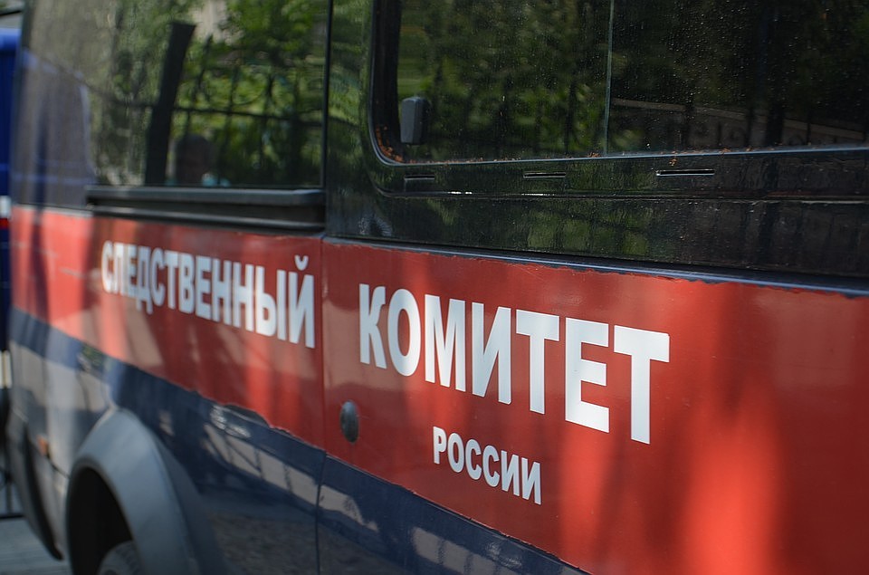 Следственный комитет России возбудил уголовное дело по факту смерти женщины после наезда на нее на летних лыжах