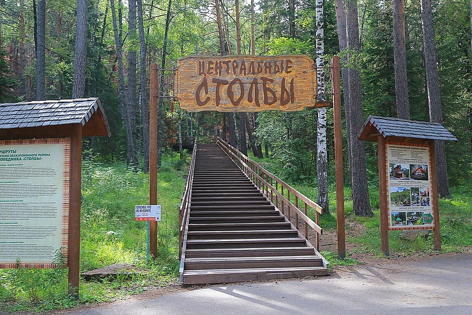 В Красноярске на «Столбах» созревают смертельно ядовитые ягоды