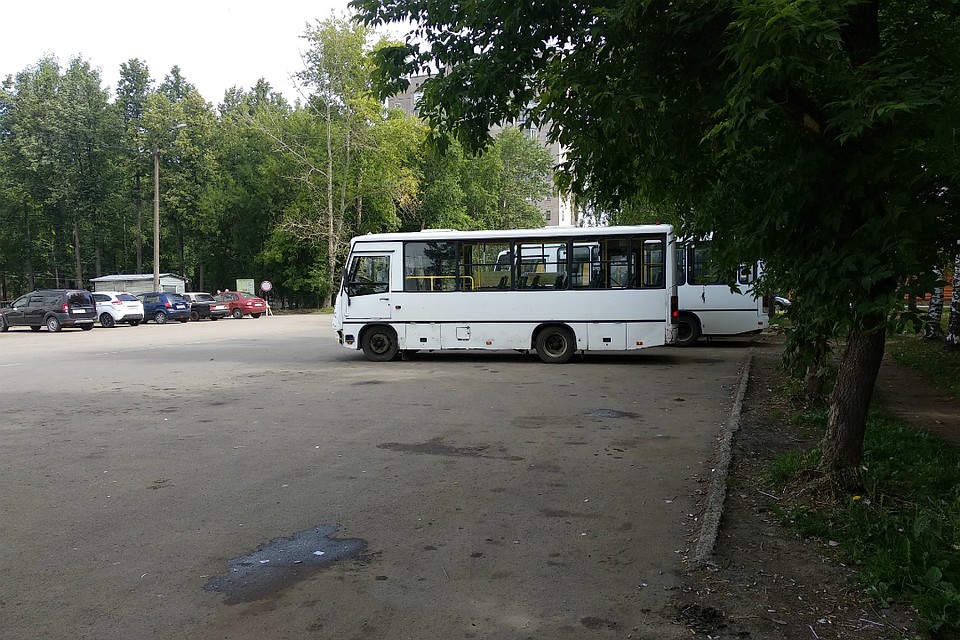 Новые автобусы появятся в автопарках за счет повышения стоимости проезда